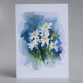 Daisies