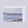 Partridge Island