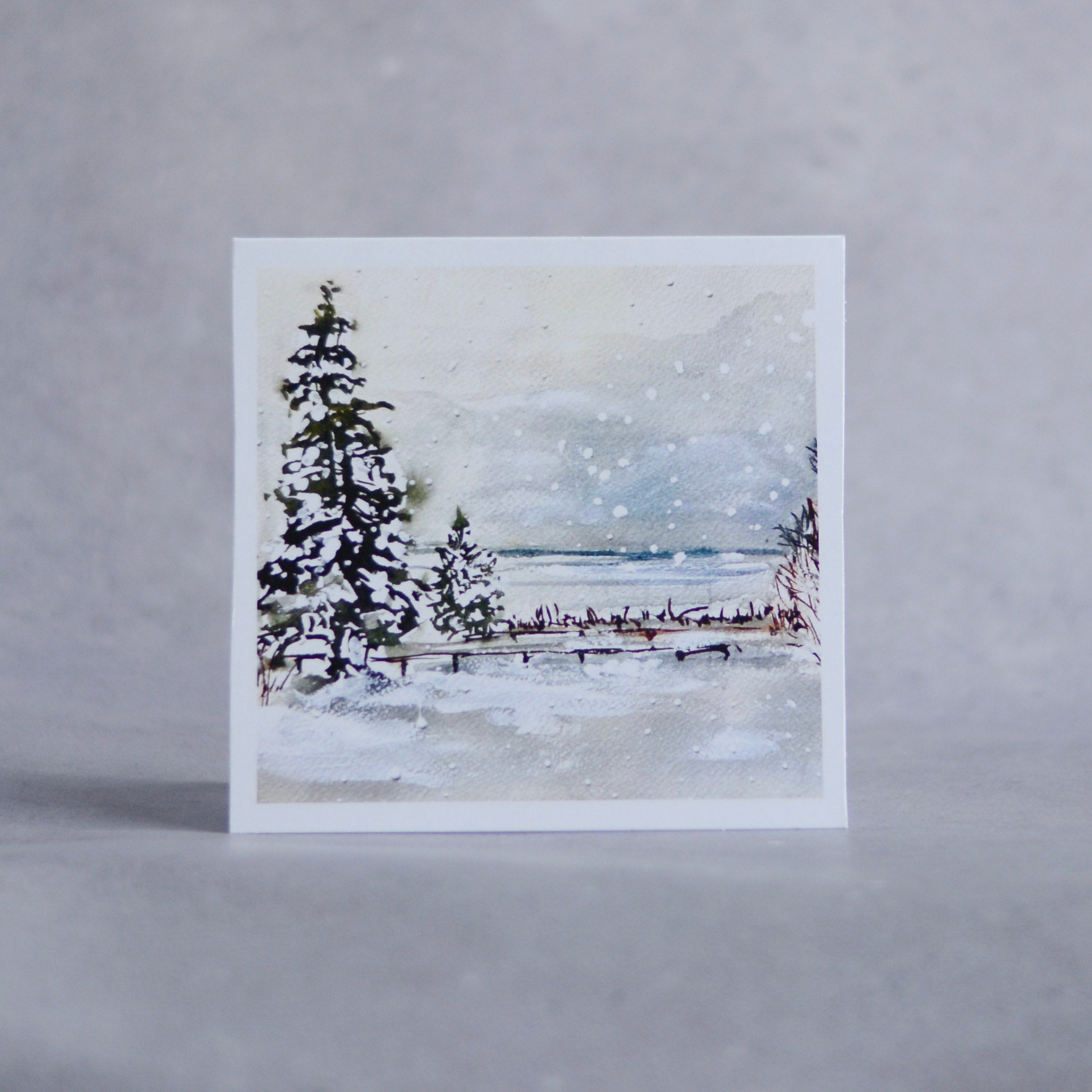 Winter Seascape