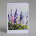 Lupins 01
