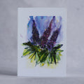 Lupins 02