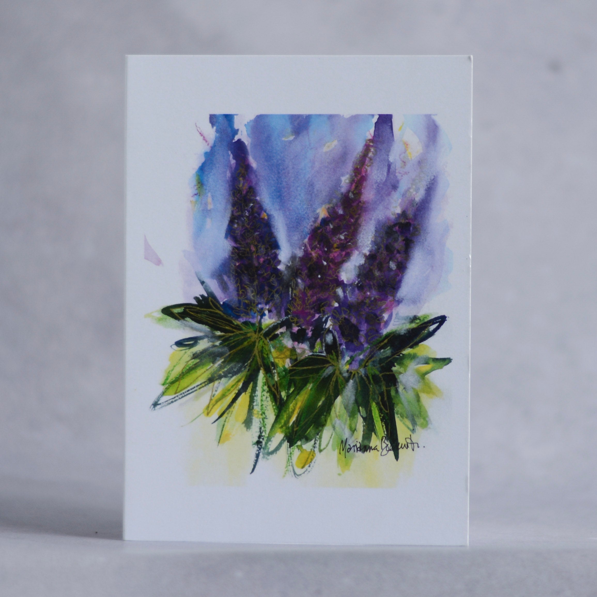 Lupins 02