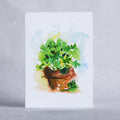 Shamrocks